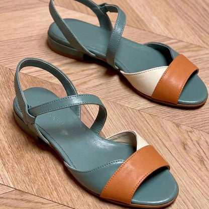 Viola™- Design bicolore elegante e moderno